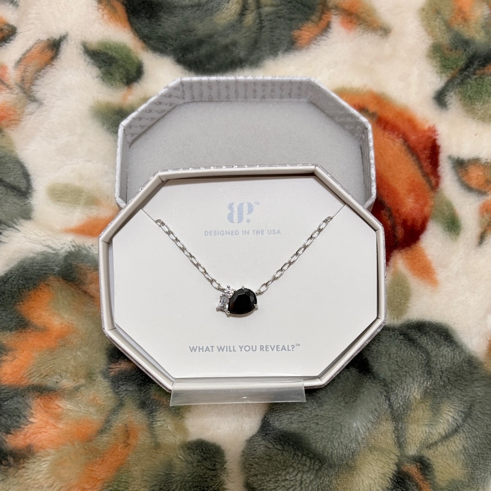 Sterling club Necklace